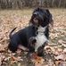Eric Wersel - Facebook