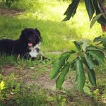 Eric Wersel - @werseleric - Instagram