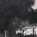Eric wester - @ericwester1218 - Instagram