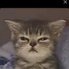ericwestman1337 - @ericwestman1337 - TikTok