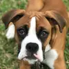 ericwhatley - @ericwhatley - TikTok
