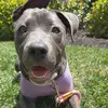 Eric Wheeler - @eric.wheeler - TikTok