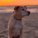 Eric Whitehead - @ejdwcreations - Instagram