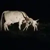 Eric Whitt - @eric.whitt7 - TikTok