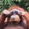 Eric Wiebe - @ericwbe - TikTok