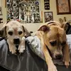 Eric Wiest - @eric.wiest - TikTok
