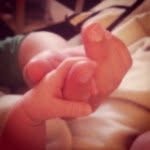 Eric Wikman - @wikman.eric - Instagram