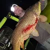 Eric Wilbur - @ericwilbur7 - TikTok