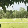 Jonsow Oliveira - @eric.wilker.wilke - TikTok