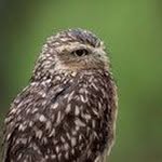 Eric Wilkerson - @eric_wilkerson23 - Instagram
