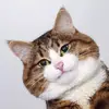 EricWilliamson - @moamaxin917 - TikTok