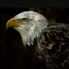 Erick Wilton Rios - @erick.wilton.rios - TikTok