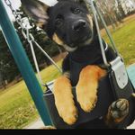 Eric Wimberly - @xoutlawxl - Instagram