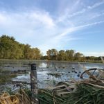 Eric Winger - @wingers_winged_adventures - Instagram