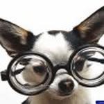 Eric Winslett - @eric_bama_lee - Instagram