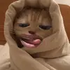 erich - @erichwinsxlet - TikTok
