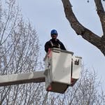 Eric Witmer - @eztreesllc - Instagram