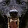 Eric Wojciechowski - @ericwojciechowski - TikTok