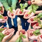 Eric Wolf - @siscommunitygarden - Instagram