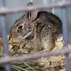 ericwoolman8 - @eric.woolman - TikTok