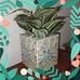 Eric Woodring - Facebook