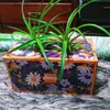 Farmer Eric Woodring - @farmer.eric.woodr - TikTok