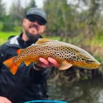 Eric Wright - @lake2stream - Instagram
