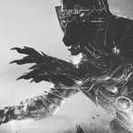 Eric Wyckoff - @warrior_cat_234 - Instagram