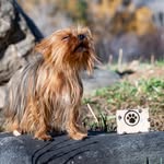 Eric Weiland - @ericweilandphotocontent - Instagram
