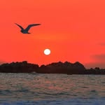 Eric Yamamoto - @jkf58368 - Instagram