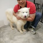 Eric Yew - @eric.yew.5 - Instagram