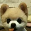 Eric Yim - @ericyim4 - TikTok