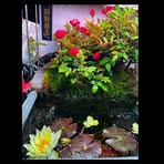 Eric Yim - Facebook