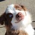 Eric Yingling - Facebook