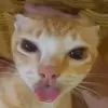 Eric_yordy - @myblood.0 - TikTok
