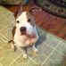 Eric Yordy - Facebook