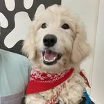 Eric Zacarias - @ericzac13 - Instagram