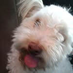Eric Zacarias - @eric10_2 - Instagram