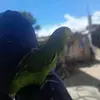zacarias - @erickzacarias58 - TikTok