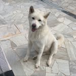 Eric Zamorano - @ericdosreiszamorano - Instagram