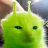 ★Estefany★ - @erickzandersanchez - TikTok