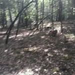 Eric Bezanger - @ericbezanger - Instagram