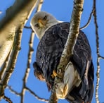 Eric Zanker - Facebook