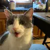 ericzarco651 - @ericzarco651 - TikTok