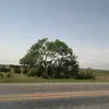 Erik Zarco - @erikzarco87 - TikTok
