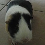 eric zech - @ericzech2 - Instagram