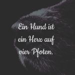 Eric Zech - @zech.eric - Instagram