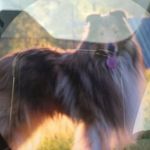 Eric Zehner - @eric.zehner - Instagram