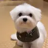 ￼ - @ericzh0 - TikTok