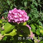 Eric Zeise - Facebook